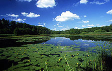 Hungary-Hungary-Somogy Naturepark Ride
